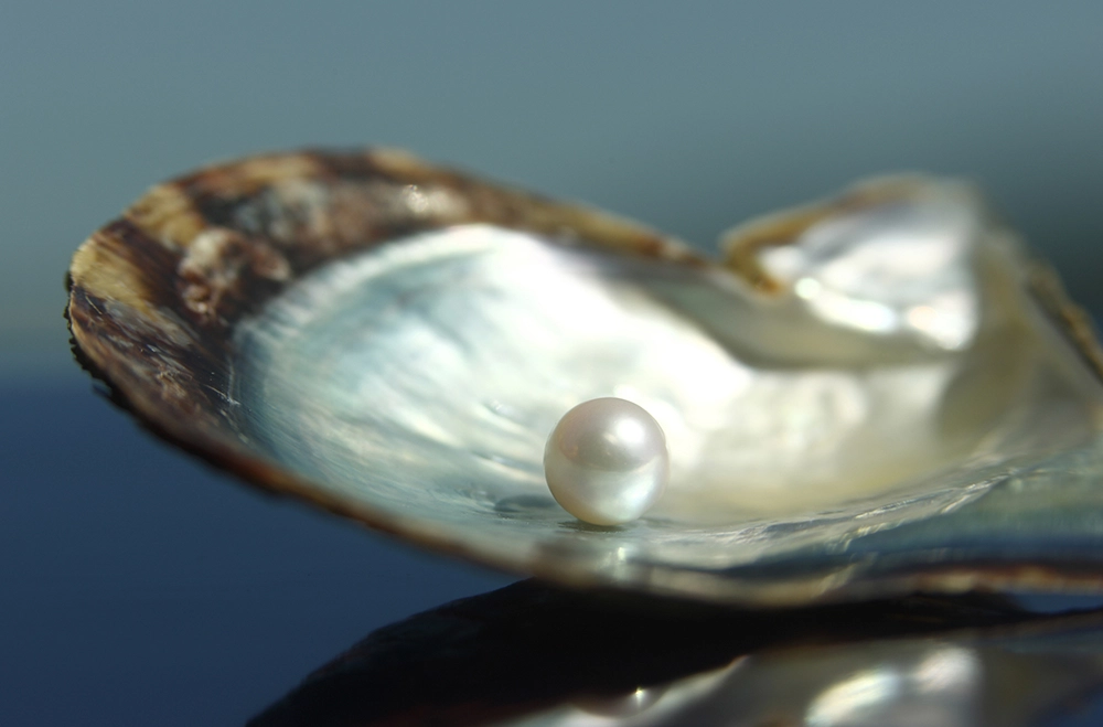 御木本幸吉が三重県鳥羽で世界初の真珠養殖に成功