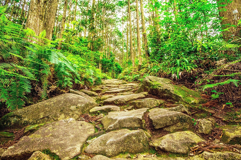 熊野古道